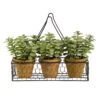 7” Mini Jade Garden Artificial Plant In Hanging Planter 2 7” Mini Jade Garden Artificial Plant In Hanging Planter -Artificial Flowers Sale artificial 7 mini jade garden artificial plant in hanging planter nearly natural 592789