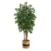 7’ Sakaki Artificial Tree In Handmade Natural Cotton Planter 1 7’ Sakaki Artificial Tree In Handmade Natural Cotton Planter -Artificial Flowers Sale artificial 7 sakaki artificial tree in handmade natural cotton planter nearly natural 133669