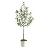 70” Olive Artificial Tree In White Tin Planter -Artificial Flowers Sale artificial 70 olive artificial tree in white tin planter nearly natural 750810