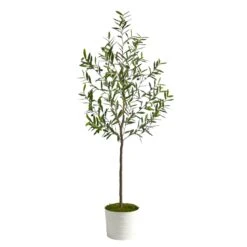 70” Olive Artificial Tree In White Tin Planter