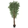 70” Variegated Ficus Artificial Tree UV Resistant (Indoor/Outdoor) 1 70” Variegated Ficus Artificial Tree UV Resistant (Indoor/Outdoor) -Artificial Flowers Sale artificial 70 variegated ficus artificial tree uv resistant indooroutdoor nearly natural 117810