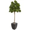 71” Fiddle Leaf Fig Artificial Tree In Black Planter -Artificial Flowers Sale artificial 71 fiddle leaf fig artificial tree in black planter nearly natural 107819