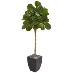 71” Fiddle Leaf Fig Artificial Tree In Black Planter