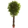 7.5' Ficus Tree UV Resistant (Indoor/Outdoor) 1 7.5' Ficus Tree UV Resistant (Indoor/Outdoor) -Artificial Flowers Sale artificial 75 ficus tree uv resistant indooroutdoor nearly natural 354821