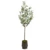 75” Olive Artificial Tree In Ribbed Metal Planter 1 75” Olive Artificial Tree In Ribbed Metal Planter -Artificial Flowers Sale artificial 75 olive artificial tree in ribbed metal planter nearly natural 176123
