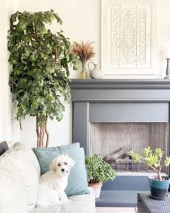 7.5’ Super Deluxe Ficus Tree 9 7.5’ Super Deluxe Ficus Tree -Artificial Flowers Sale artificial 75 super deluxe ficus tree nearly natural 350225