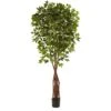 7.5’ Super Deluxe Ficus Tree 1 7.5’ Super Deluxe Ficus Tree -Artificial Flowers Sale artificial 75 super deluxe ficus tree nearly natural 401767