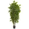 76” River Rirch Artificial Tree 1 76” River Rirch Artificial Tree -Artificial Flowers Sale artificial 76 river rirch artificial tree nearly natural 389828