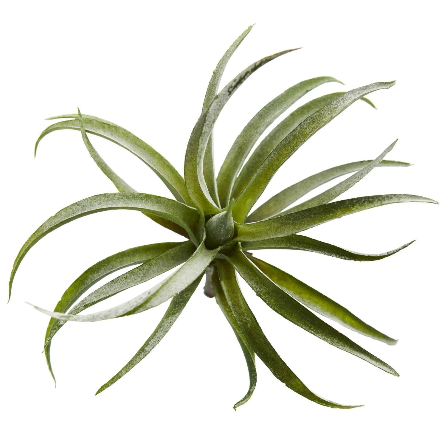 8” Air Plant Artificial Succulent (Set Of 12) 4 8” Air Plant Artificial Succulent (Set Of 12) - Image 2