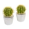 8” Cactus Artificial Plant In Decorative Planter (Set Of 2) 2 8” Cactus Artificial Plant In Decorative Planter (Set Of 2) -Artificial Flowers Sale artificial 8 cactus artificial plant in decorative planter set of 2 nearly natural 565037