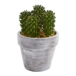 8” Cactus Artificial Plant (Set Of 3) 9 8” Cactus Artificial Plant (Set Of 3) -Artificial Flowers Sale artificial 8 cactus artificial plant set of 3 nearly natural 120758