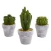 8” Cactus Artificial Plant (Set Of 3) -Artificial Flowers Sale artificial 8 cactus artificial plant set of 3 nearly natural 407988