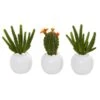 8” Cactus Succulent Artificial Plant In White Planter (Set Of 3) -Artificial Flowers Sale artificial 8 cactus succulent artificial plant in white planter set of 3 nearly natural 358351