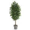 8’ Ficus Artificial Tree In Handmade Black And White Natural Jute And Cotton Planter