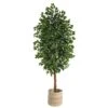 8’ Ficus Artificial Tree With Handmade Natural Cotton Multicolored Woven Planter 1 8’ Ficus Artificial Tree With Handmade Natural Cotton Multicolored Woven Planter -Artificial Flowers Sale artificial 8 ficus artificial tree with handmade natural cotton multicolored woven planter nearly natural 464254