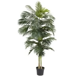 8'Golden Cane Palm Silk Tree