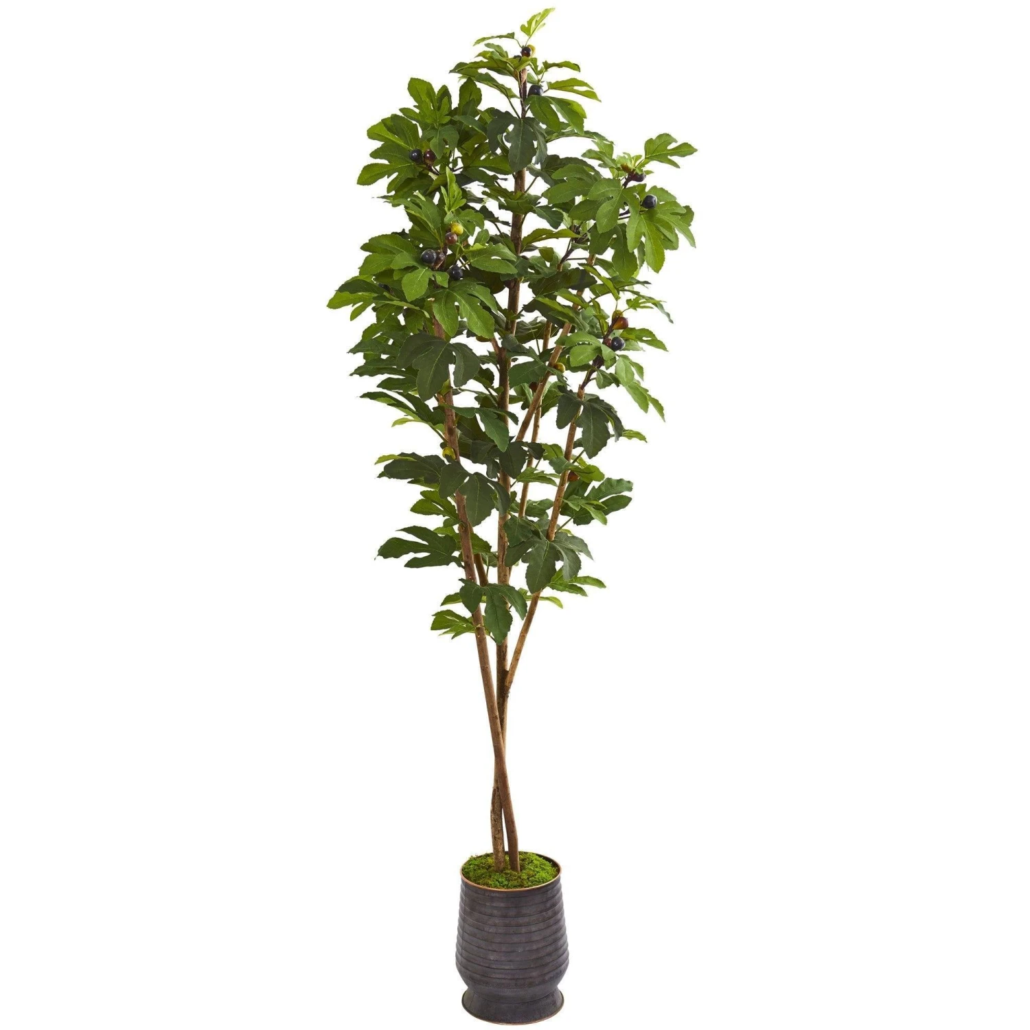 88” Fig Artificial Tree In Ribbed Metal Planter 3 88” Fig Artificial Tree In Ribbed Metal Planter