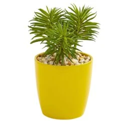 9” Mixed Succulent Artificial Plant In Yellow Vase (Set Of 3) 9 9” Mixed Succulent Artificial Plant In Yellow Vase (Set Of 3) -Artificial Flowers Sale artificial 9 mixed succulent artificial plant in yellow vase set of 3 nearly natural 769915