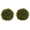 9” Mohlenbechia Ball (Set Of 2) 1 9” Mohlenbechia Ball (Set Of 2) -Artificial Flowers Sale artificial 9 mohlenbechia ball set of 2 nearly natural 772465