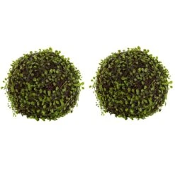 9” Mohlenbechia Ball (Set Of 2)