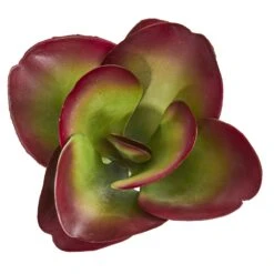 9” Succulent Artificial Plant (Set Of 6) -Artificial Flowers Sale artificial 9 succulent artificial plant set of 6 nearly natural 185763