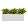 Agave Succulent In Rectangular Planter -Artificial Flowers Sale artificial agave succulent in rectangular planter nearly natural 140092