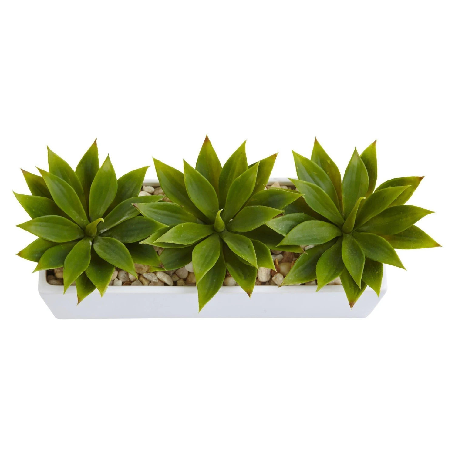 Agave Succulent In Rectangular Planter 5 Agave Succulent In Rectangular Planter - Image 3