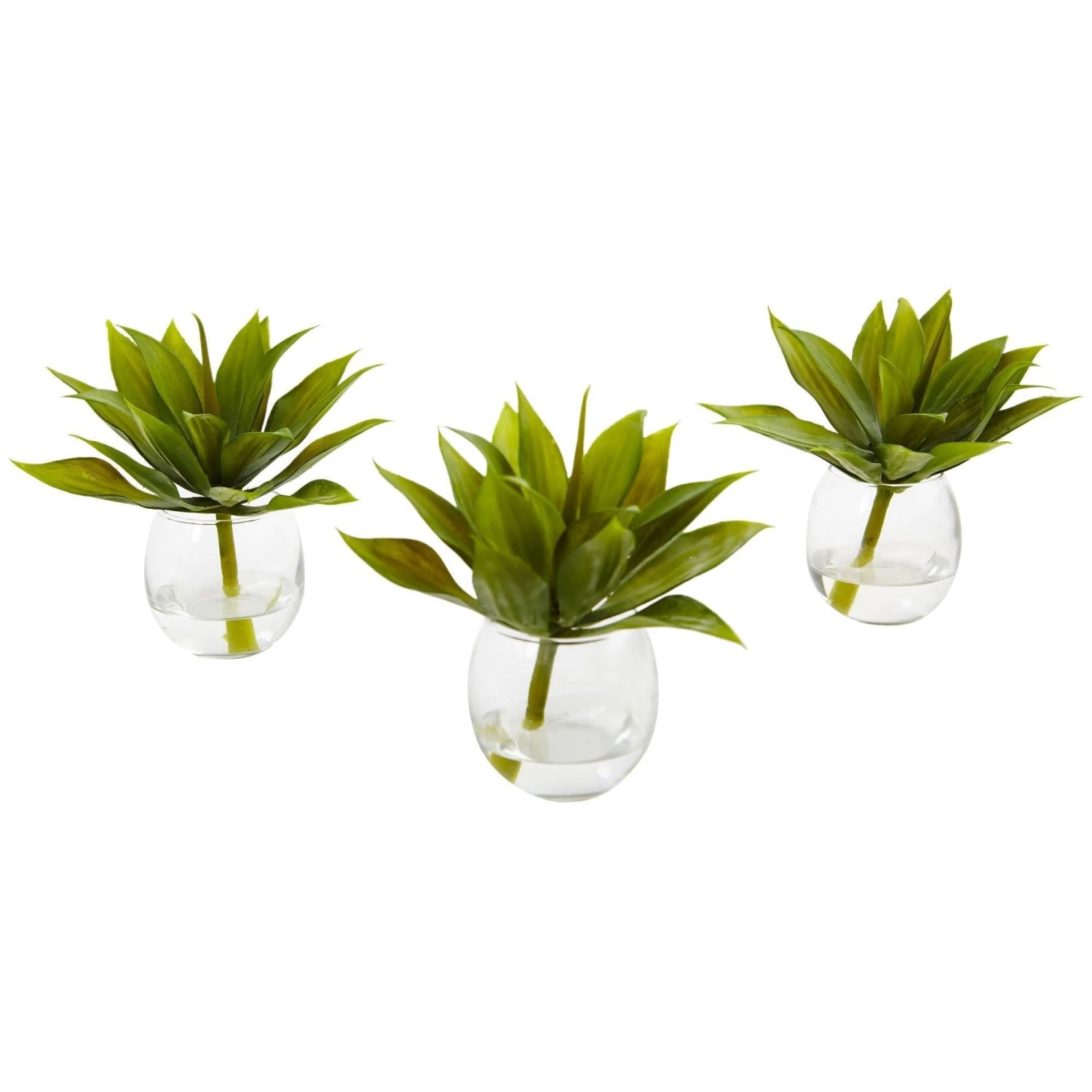 Agave Succulent With Vase (Set Of 3) 6 Agave Succulent With Vase (Set Of 3) - Image 4