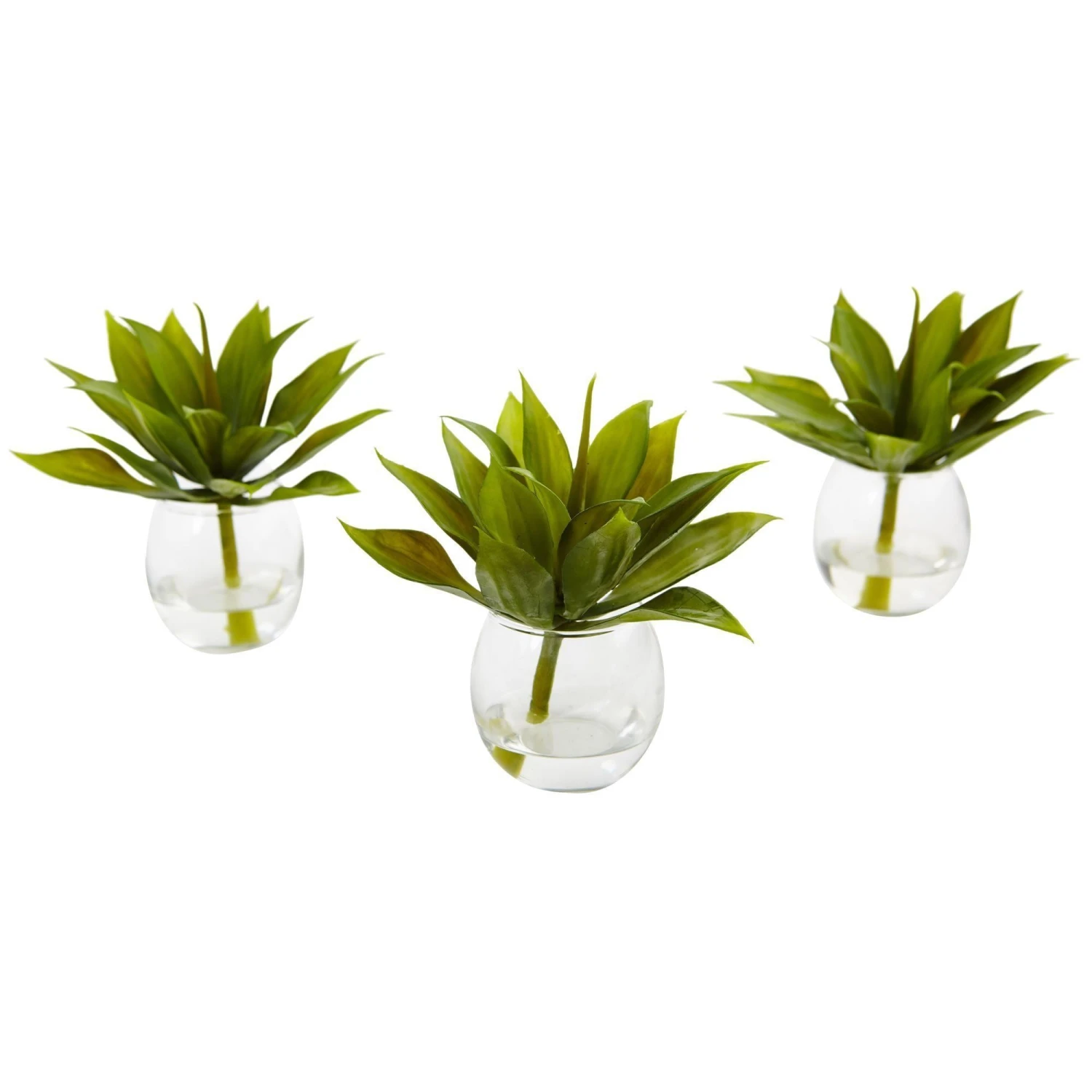 Agave Succulent With Vase (Set Of 3) 3 Agave Succulent With Vase (Set Of 3)