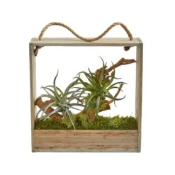 Air Plant Artificial Succulent In Decorative Hanging Frame