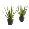 Aloe Artificial Plant (Set Of 2) -Artificial Flowers Sale artificial aloe artificial plant set of 2 nearly natural 822364