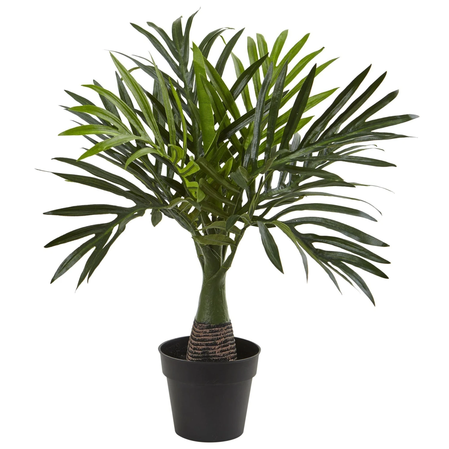 Areca, Fountain & Banana Palm (Set Of 3) 4 Areca, Fountain & Banana Palm (Set Of 3) - Image 2