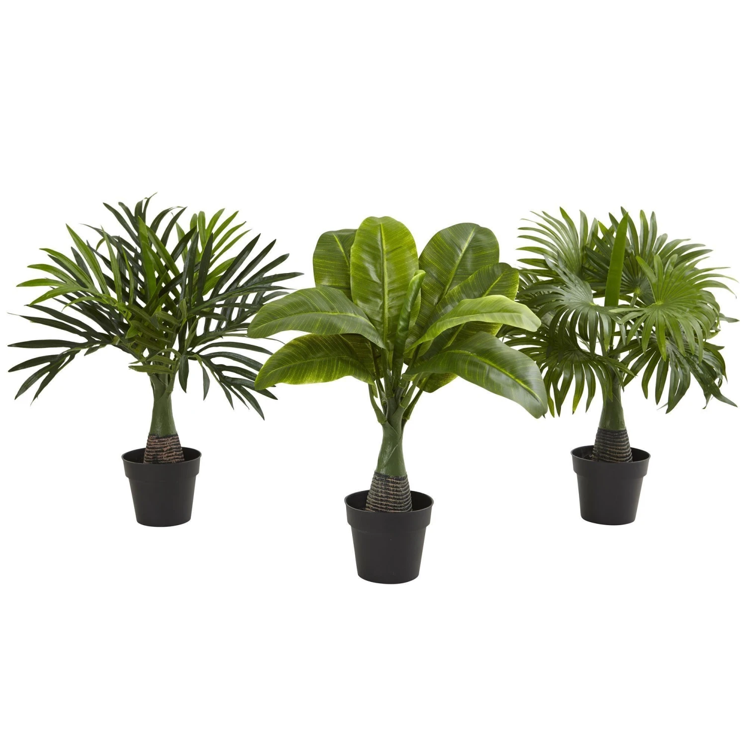 Areca, Fountain & Banana Palm (Set Of 3) 3 Areca, Fountain & Banana Palm (Set Of 3)