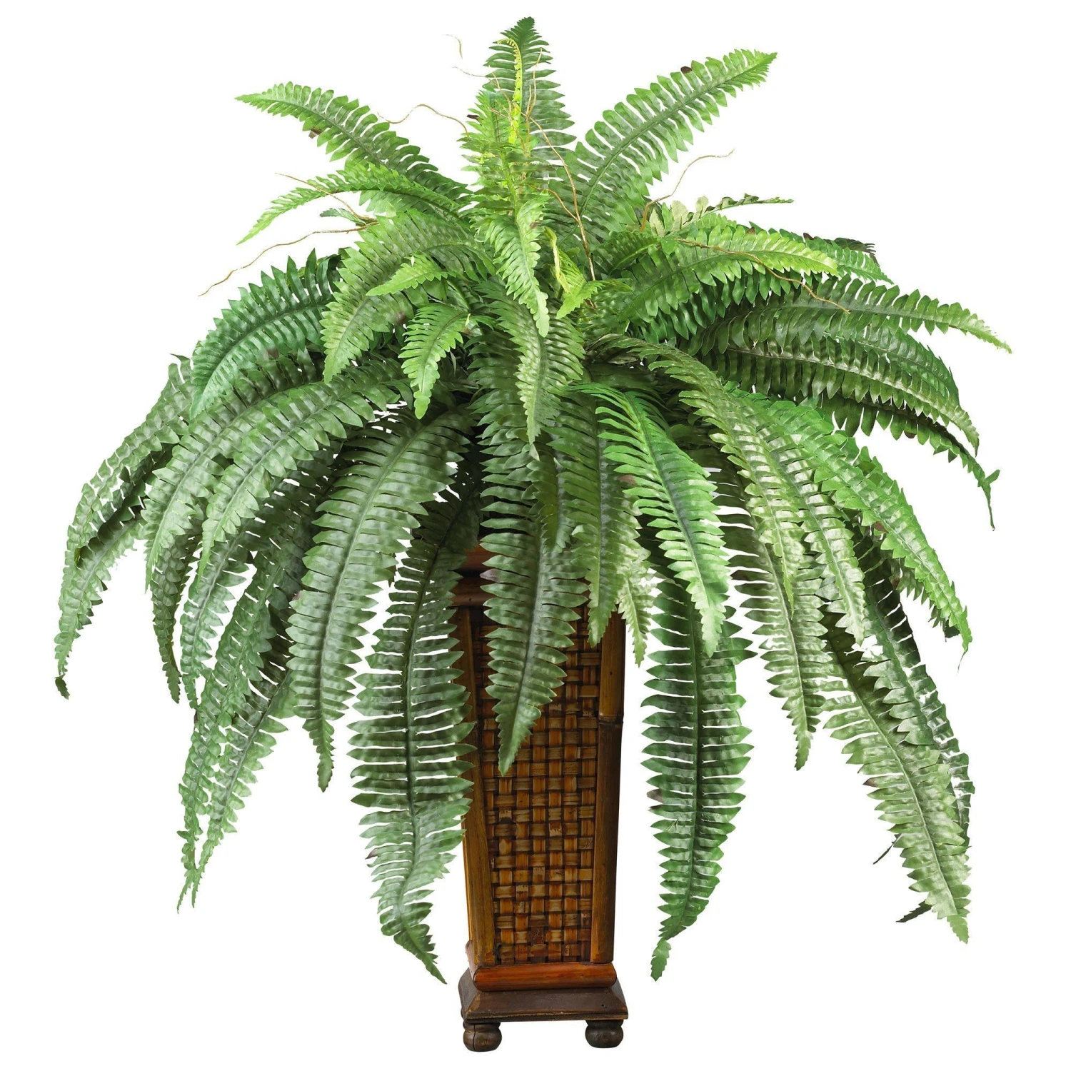 Boston Fern W/Decorative Wood Vase Silk Plant 3 Boston Fern W/Decorative Wood Vase Silk Plant