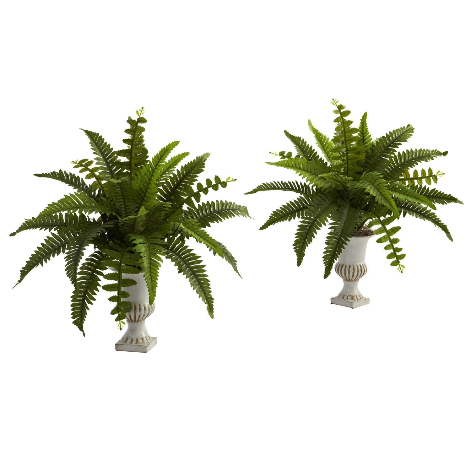 Boston Fern W/Urn (Set Of 2) 3 Boston Fern W/Urn (Set Of 2)