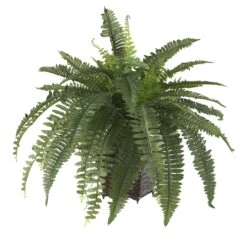 Boston Fern W/Wood Wicker Basket Silk Plant -Artificial Flowers Sale artificial boston fern wwood wicker basket silk plant nearly natural 799300