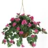 Bougainvillea Hanging Basket Silk Plant -Artificial Flowers Sale artificial bougainvillea hanging basket silk plant nearly natural 258511