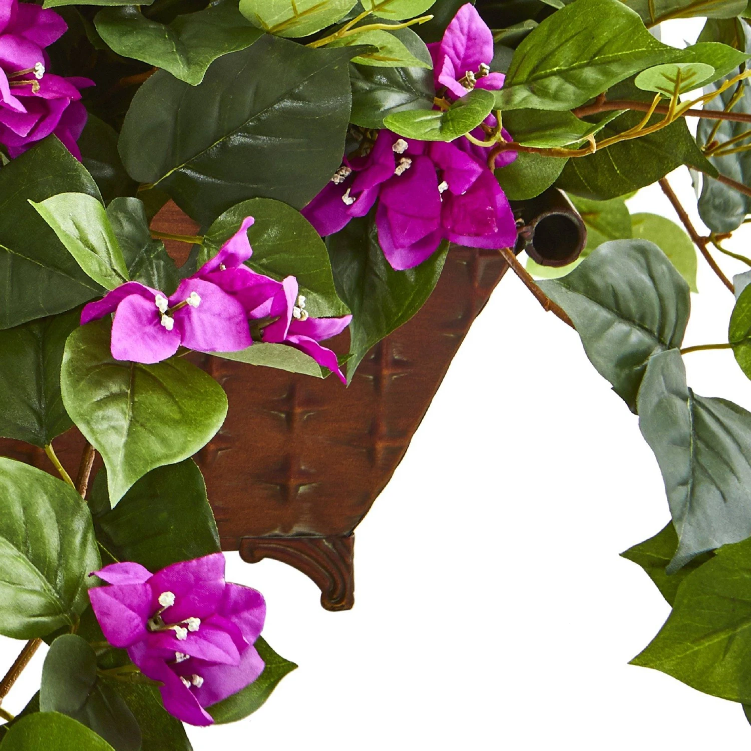 Bougainvillea In Metal Planter 7 Bougainvillea In Metal Planter - Image 5