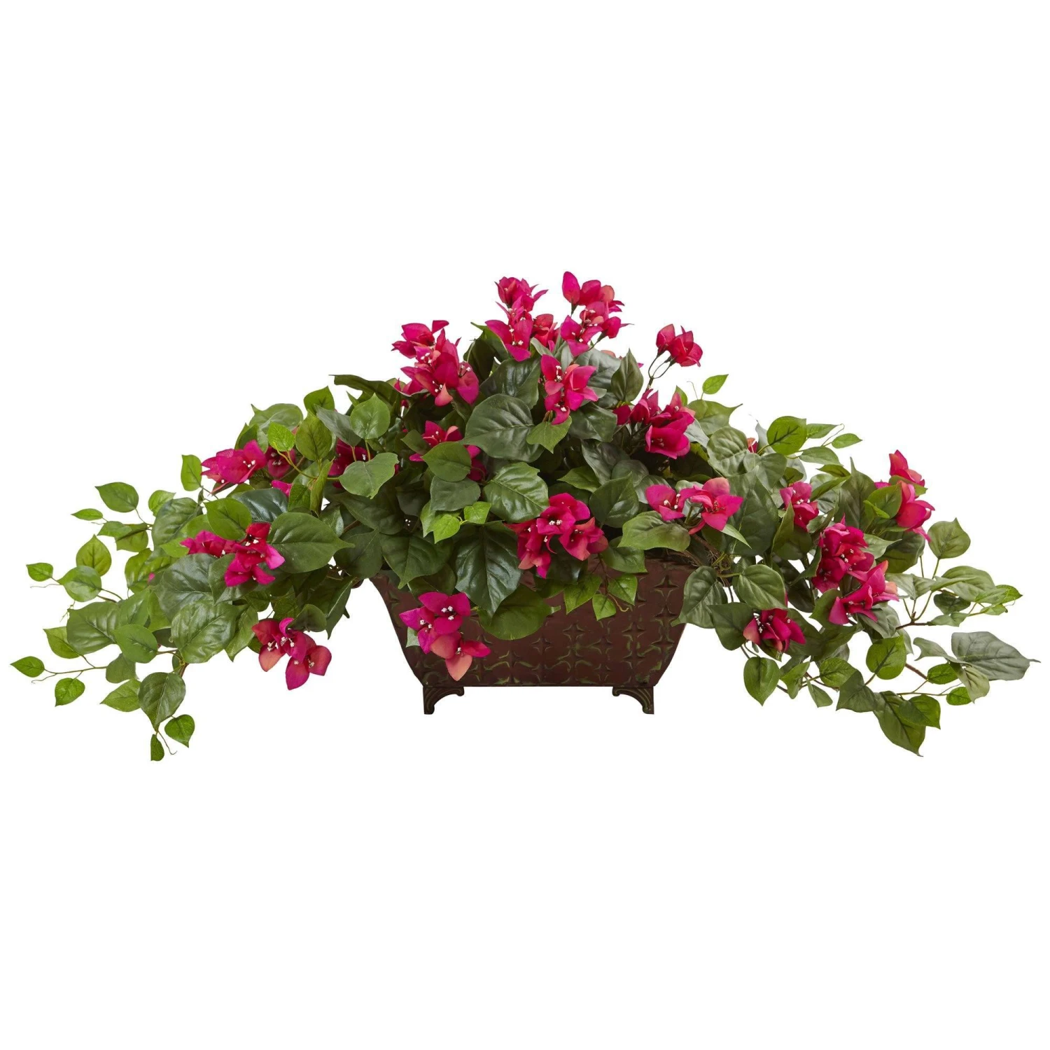 Bougainvillea In Metal Planter 3 Bougainvillea In Metal Planter