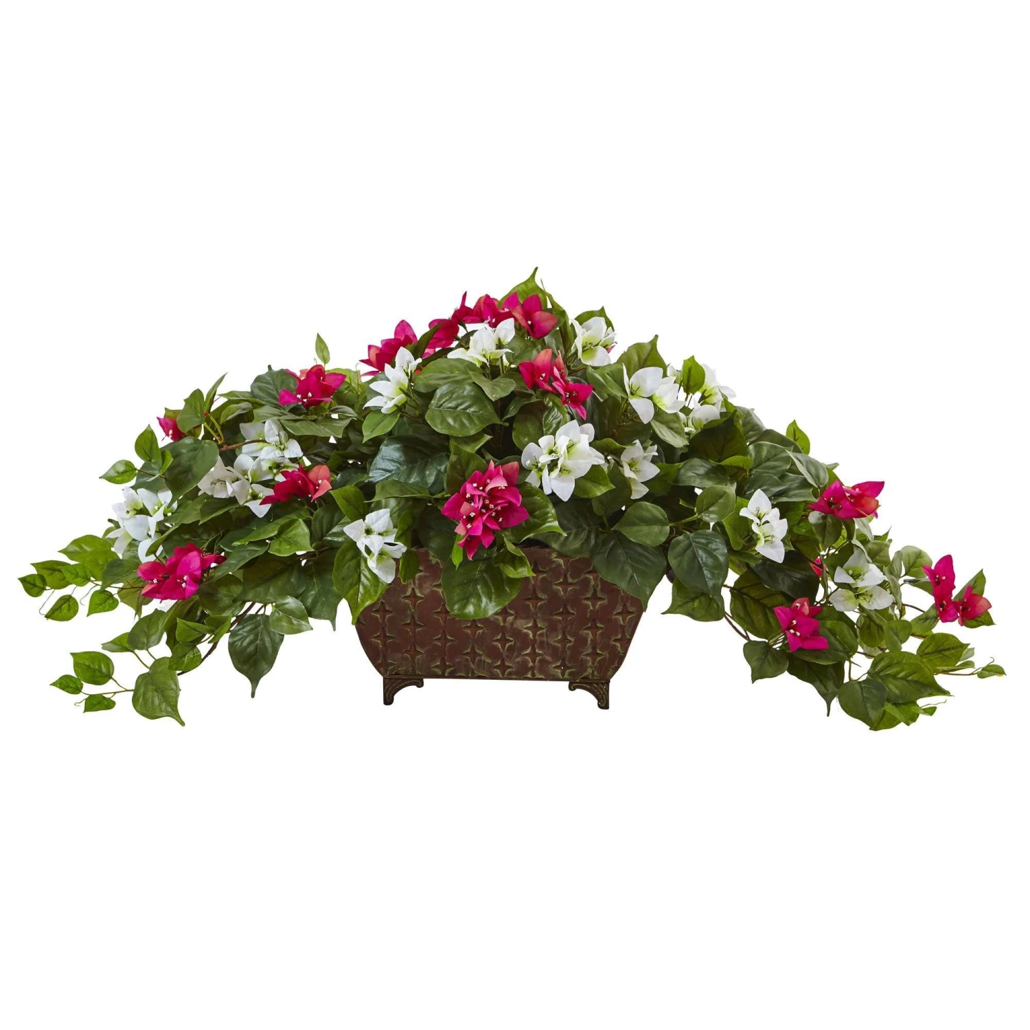 Bougainvillea In Metal Planter 4 Bougainvillea In Metal Planter - Image 2