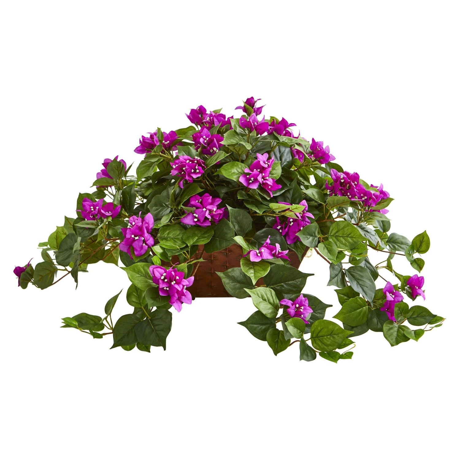 Bougainvillea In Metal Planter 6 Bougainvillea In Metal Planter - Image 4