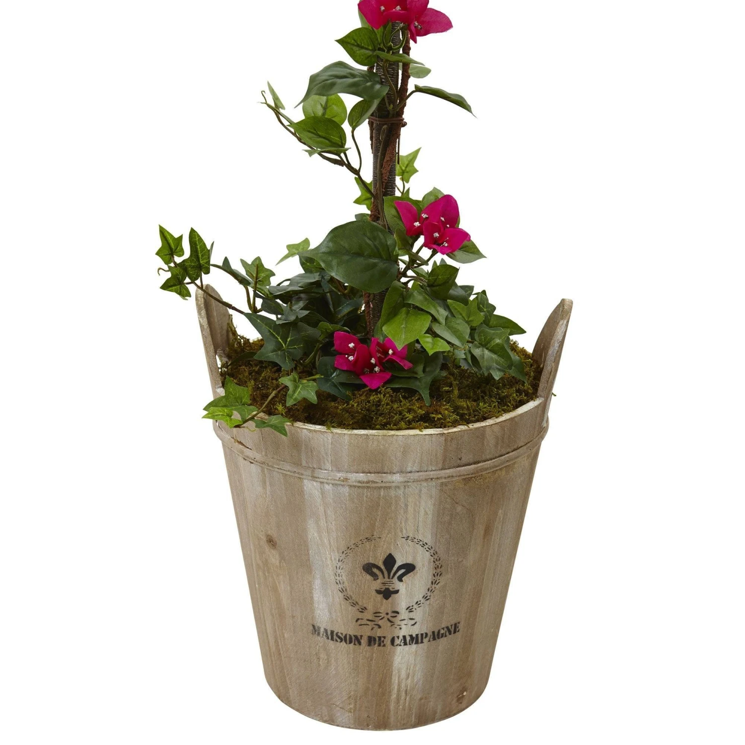 Bougainvillea Tree With European Barrel Planter 5 Bougainvillea Tree With European Barrel Planter - Image 3