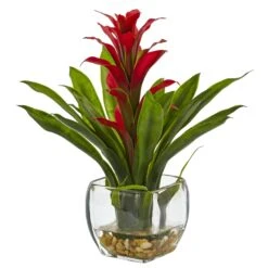 Bromeliad With Vase Arrangement