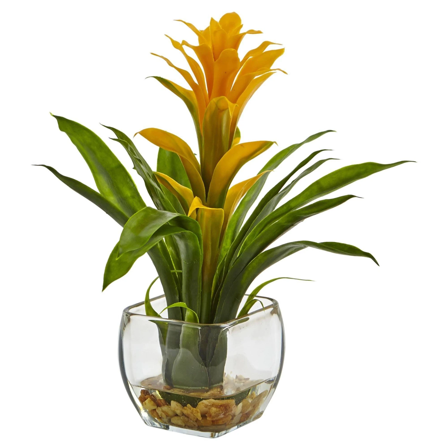 Bromeliad With Vase Arrangement 4 Bromeliad With Vase Arrangement - Image 2