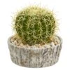 Cactus Artificial Plant In Weathered Oak Planter 1 Cactus Artificial Plant In Weathered Oak Planter -Artificial Flowers Sale artificial cactus artificial plant in weathered oak planter nearly natural 625879