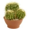 Cactus Garden Artificial Plant In Decorative Planter 1 Cactus Garden Artificial Plant In Decorative Planter -Artificial Flowers Sale artificial cactus garden artificial plant in decorative planter nearly natural 178432