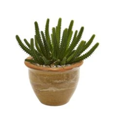 Cactus Succulent Artificial Plant In Ceramic Vase (Set Of 2) -Artificial Flowers Sale artificial cactus succulent artificial plant in ceramic vase set of 2 nearly natural 397911