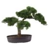 Cedar Bonsai 16" Silk Plant" 1 Cedar Bonsai 16" Silk Plant" -Artificial Flowers Sale artificial cedar bonsai 16 silk plant nearly natural 644579