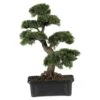 Cedar Bonsai 24" Silk Plant" 2 Cedar Bonsai 24" Silk Plant" -Artificial Flowers Sale artificial cedar bonsai 24 silk plant nearly natural 476023
