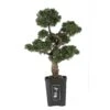 Cedar Bonsai 36" Silk Plant" -Artificial Flowers Sale artificial cedar bonsai 36 silk plant nearly natural 271274